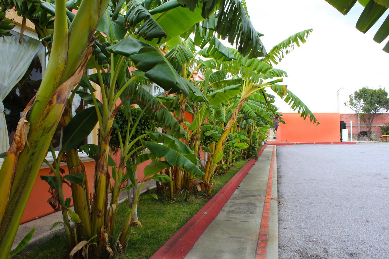 Hotel Real De Cortes Los Reyes  Exterior photo